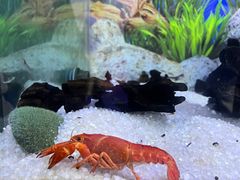 -正佳极地海洋世界
