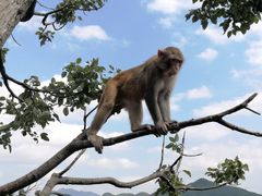 -重庆云阳龙缸景区