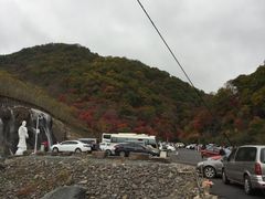 -天女山森林公园
