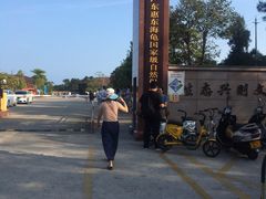 -广东惠东海龟国家级自然保护区