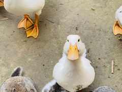 -京津新城温德姆至尊酒店(珠江大道店)