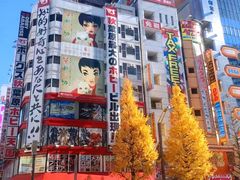 -秋叶原电器街