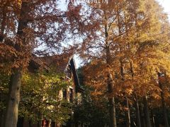 -上海理工大学(复兴路校区)