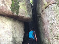 -汤旺河林海奇石景区
