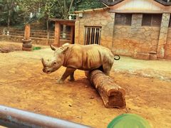 -昆明动物园