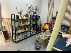 -山宅一喵德文卷毛猫舍