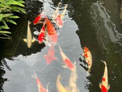 -聚福宝合苑食府(南头镇店)