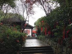 -平湖九龙山旅游度假区