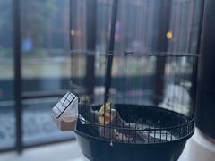 -上海崇明金茂凯悦酒店