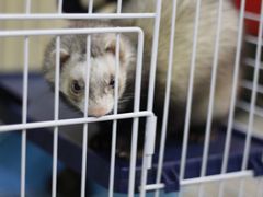 -派特宠物医院(圆融广场店)