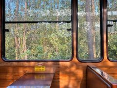 -合肥滨湖国家森林公园