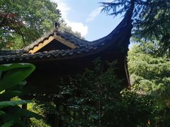 -杭州半山国家森林公园