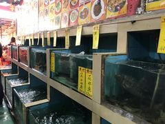 -鸿达渔港