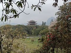 -贵州百里杜鹃风景名胜区