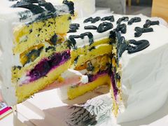 -今日·TODAY手作低脂动物奶油蛋糕定制(高新万达店)