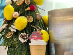 -introlemons(西单更新场·北京首店)