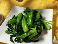 -鸽王世家(东华东路店)