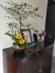 -云上瑜伽·普拉提·维密馆