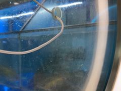 -鱼酷活鱼烤鱼(沈阳大悦城店)