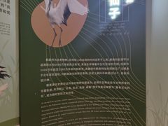 -盐城丹顶鹤湿地生态旅游区