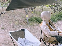 -永定河休闲森林公园