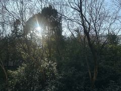 -天目湖御水温泉·度假酒店