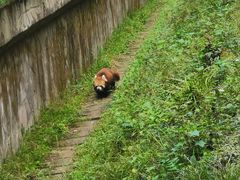 -成都动物园
