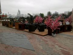 -万达广场(南宁青秀店)