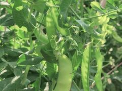 -任达丞国农庄(任达山庄店)