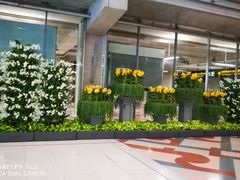 -曼谷素万那普国际机场