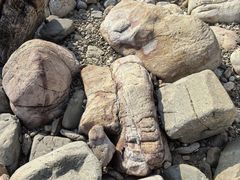 -西涌国际滨海旅游区