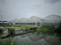 -马陆小张葡萄园农家乐