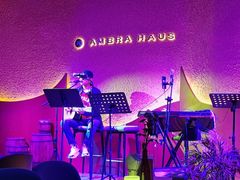 -Ambra Haus琥珀屋精酿餐厅(宝山店)