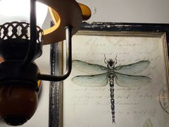 -安琳acKONA咖啡(市南店)