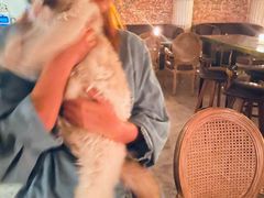 -MR.ROCKY洛奇先生·西餐&酒吧(琶醍店)