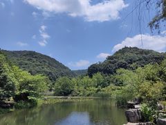-桃花岭景区