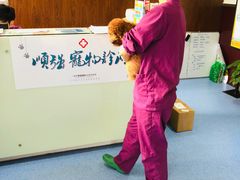 -顺强宠物诊所·狂犬免疫·夜诊·骨科(嘉定店)