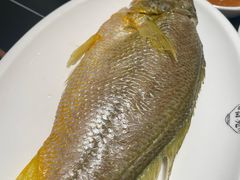 -吴记富苑(朝阳店)