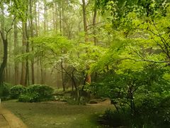 -虎跑公园
