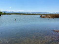 -野鸭湖国家湿地公园