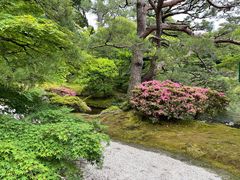 -京都御所