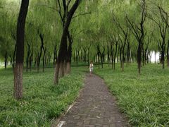 -秀水公园