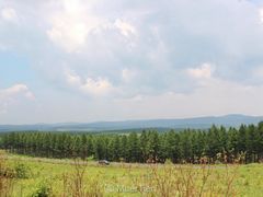 -塞罕坝国家级自然保护区