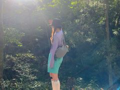 -天目山大树王景区