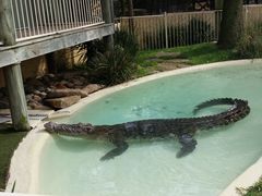 -费瑟代尔野生动物园