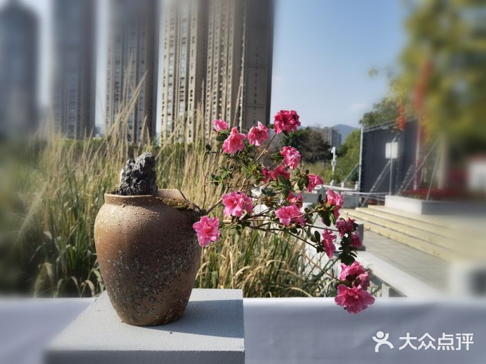 琴亭湖公园图片