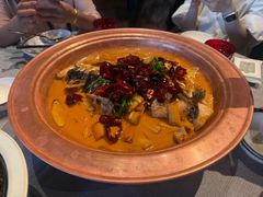 -柿合缘新京菜(国金中心商场店)