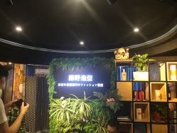 点击看大图 -藤野造型