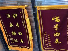 -伟伟宠物医院·CT影像中心·瑞派犬猫综合性门诊(汉口总院)