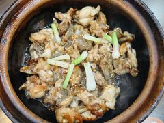 -红星光发煲仔饭(文海店)